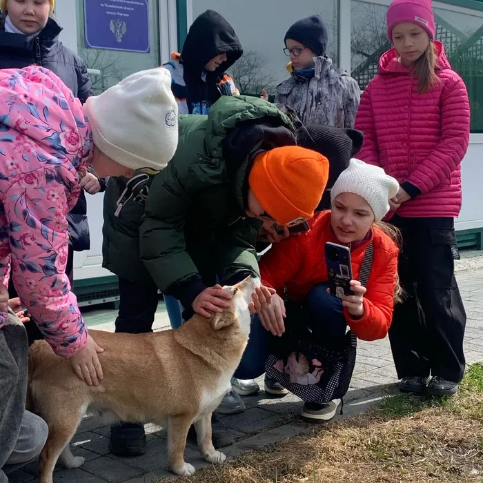 Помощь приюту диких животных