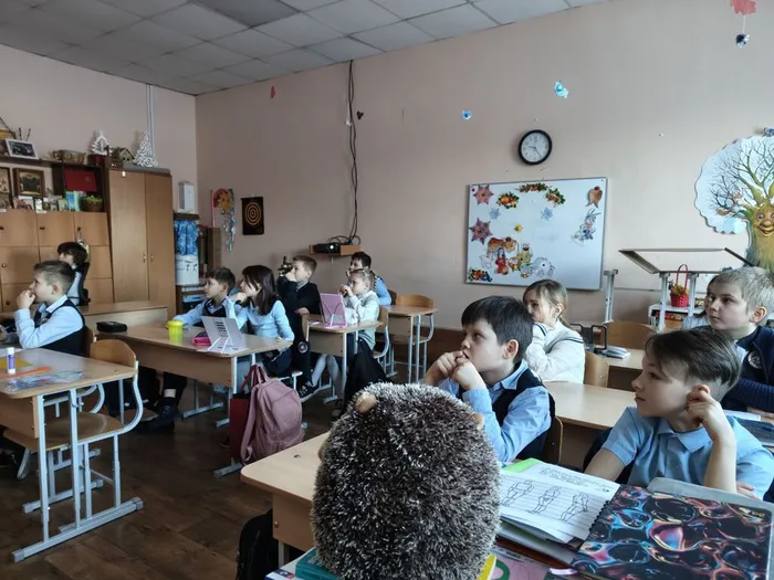 photo_2026-02-06_19-56-50